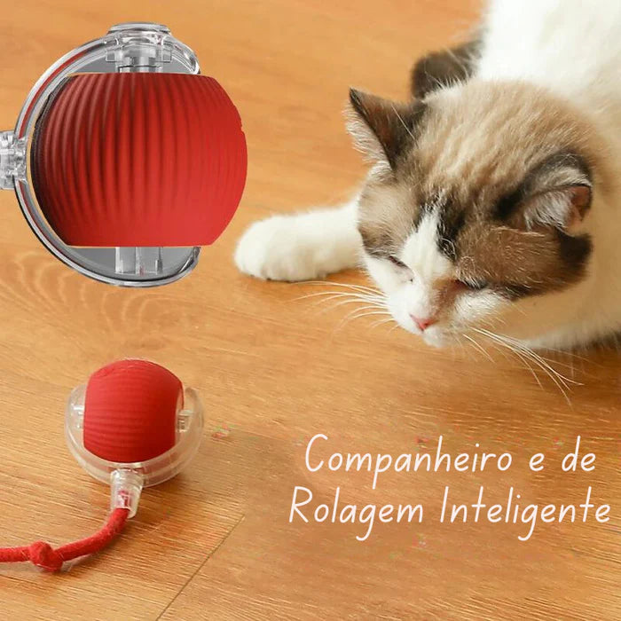 Bolinha Interativa Rolante automática para Pet - Cães e Gatos