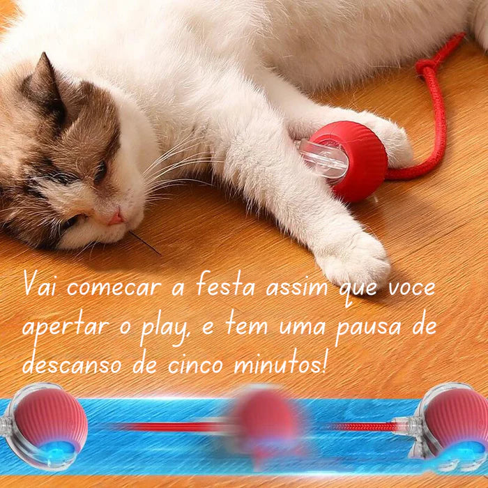 Bolinha Interativa Rolante automática para Pet - Cães e Gatos